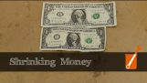 Shrinking paper money with ammonia