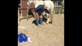 Hvordan at skoning en nervøs hest