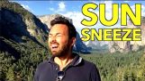 A Sun Sneeze Gene