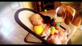 Schuldig Hund entschuldigt sich bei Baby für den Diebstahl von ihrem Spielzeug