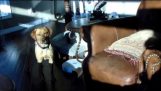 Perro convierte Roomba fuera