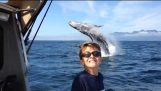 Episka Whale Photobomb bakom Selfie