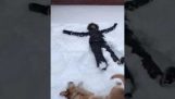 Charlene and Brewer making snow angels, and dog-angels!