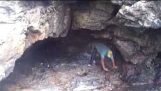 Ragazzo trova un paio di bug in una grotta