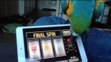 A macaw plays a slot machine on a tablet