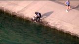 agente di polizia Chicago salva cane dal lago Michigan: VIDEO RAW