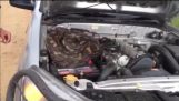 The giant snake found under the hood