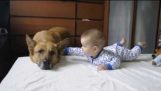Baby & dog