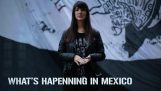 發生了什麼事在墨西哥. 為什麼我們說 #YaMeCanse