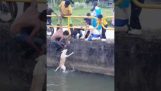 Herrelös hund hade fallit i en monsun avlopp och var tvungen att hålla simning att hålla sig flytande