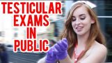 Testicular eksamen i offentlig