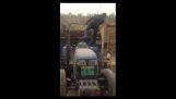 Driving Tractor With Feet