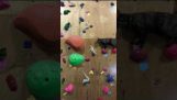 Mačka lezie lezecká stena