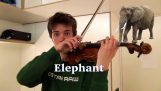 O animal soa com um violino