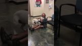 En hjemløs mand finder sin fortabte hund