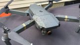 Et drone skjære et reir i begge