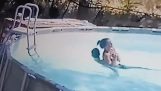 10歲男孩在泳池中救下溺水的母親