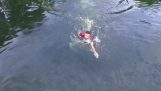 הוא קפץ לתוך האגם והציל את המזל"ט של הפעם האחרונה