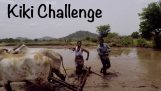 Kiki challenge σε ένα χωριό της Ινδίας