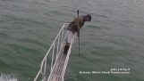 White shark tries to bite a researcher