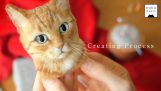 Realistische Porträts von Katzen