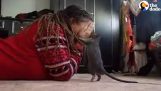 En skämtsam råtta