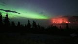 Het noorderlicht naast de bosbranden in Canada