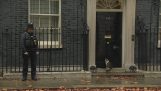 Le chat à Downing Street a son propre personnel