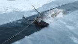 Lovci záchranu jelena z zamrzlém jezeře, teplý a krmiva