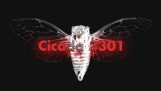 Le mystère de Cicada 3301