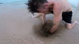 Por que você não deve colocar as mãos sob a areia Austrália
