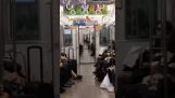 As carruagens de metro alinhados