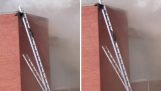 Resgate dois guaxinins com escadas durante o incêndio