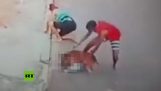 Młody człowiek oszczędza 5-letniego chłopca zaatakowany przez pit bull