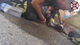 Firefighters save dog found unconscious in a burning house (Spain)