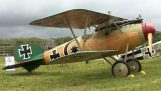 19 full size WW1 aircraft on display