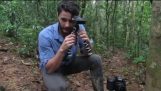 어떻게 (하지) 아마존 열대우림에 카메라 함정