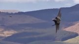 F-22 Raptor in der Mach – Schleife
