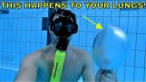 Che cosa succede se trattenere il respiro durante le immersioni e apnea