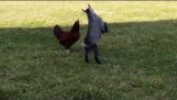 Når Rooster Met Goat