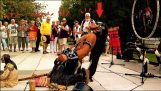 The Last of the Mohicans lied de beste ooit! Querevalú door Alexandro