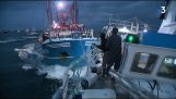 Sea kamp mellom de britiske og franske fiskere