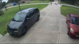 Buurman redt een jongen tegen een aanval van een pitbull