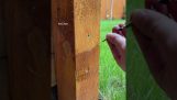 วิธีการถอดสกรูที่ติดอยู่กับไม้
