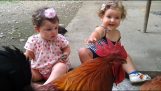 Babys, die Hühner zum ersten Mal zu sehen
