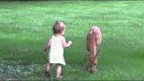 En lille pige møder en fawn