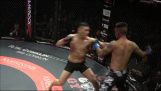 Double knockout in MMA fight