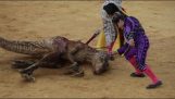 dinozorlar karşı Bullfighters