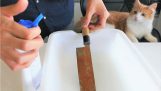 Αποκατάσταση ενός σκουριασμένου ιαπωνικού μαχαιριού