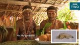 Διάφορες φυλές αντιδρούν σε βίντεο από ντοκιμαντέρ του BBC